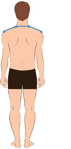 measuring shoulders