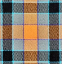 Disability Advocate Kilt Tartan