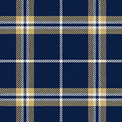 AK Tech Kilt Tartan