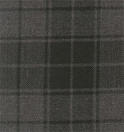 Grey Highlander