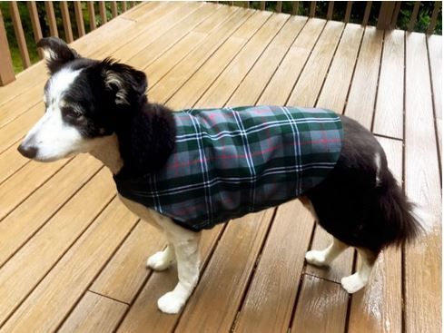 Tartan Jacket for Pets with optional bandanna Atlanta Kilts