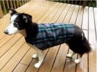 Tartan Jacket for Pets (with optional bandanna)